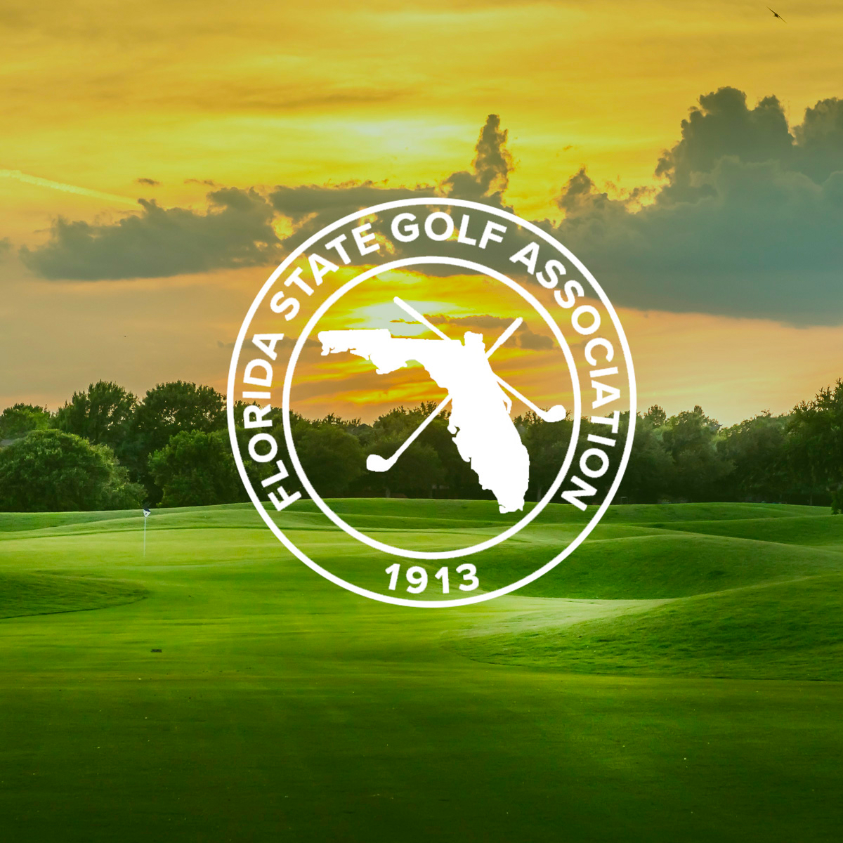 Find out how we helped the Florida State Golf Association
