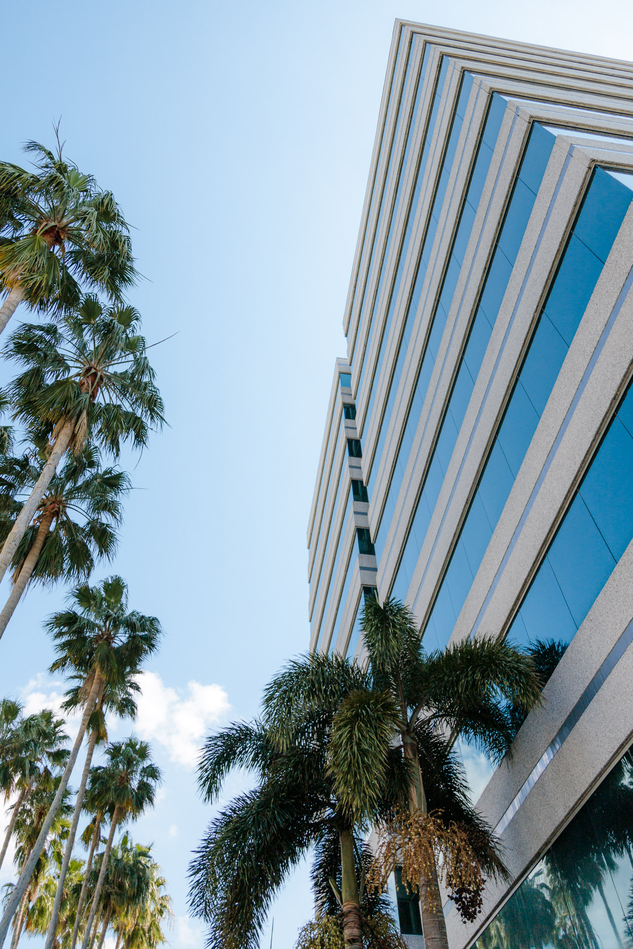 Tampa Office